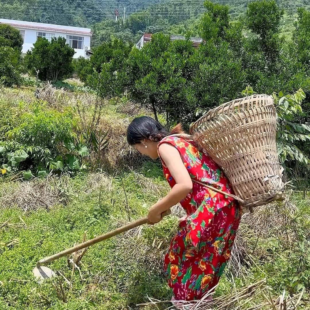 农村特产山货