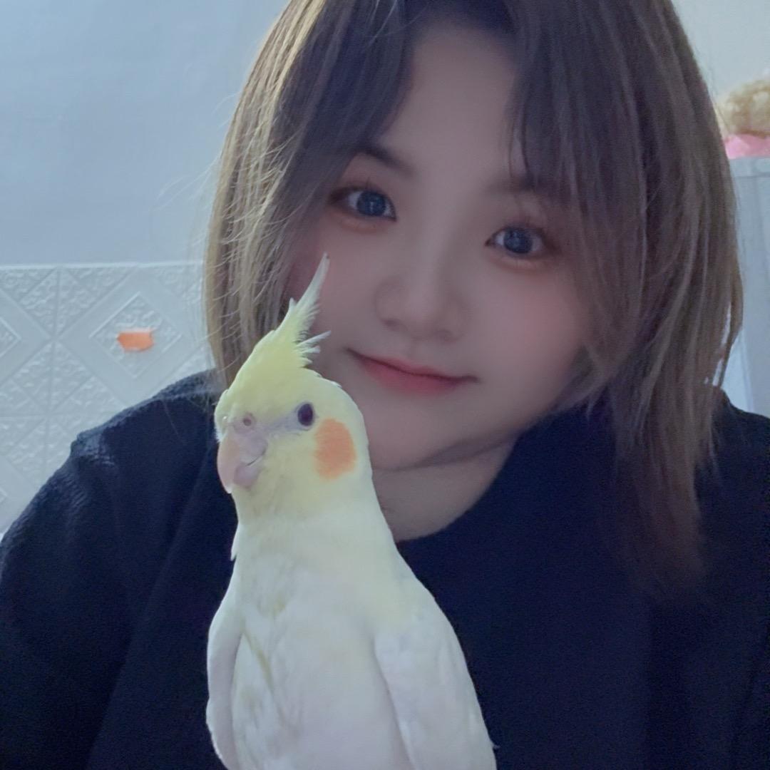 吉吉的苹果铺子💚