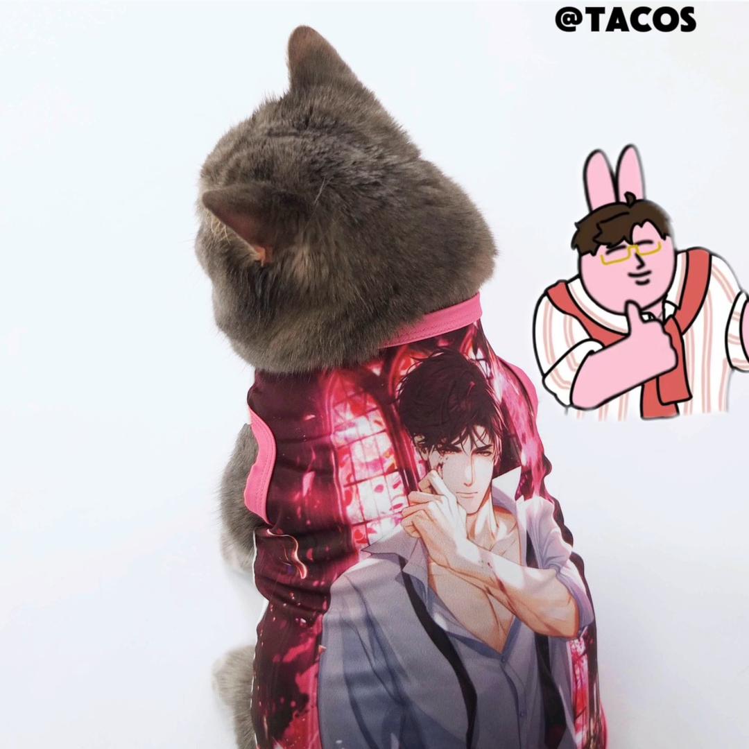 TACOS它cos