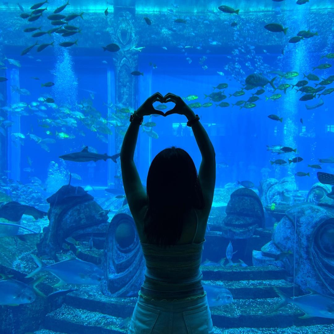 浪费时光的幸福少女