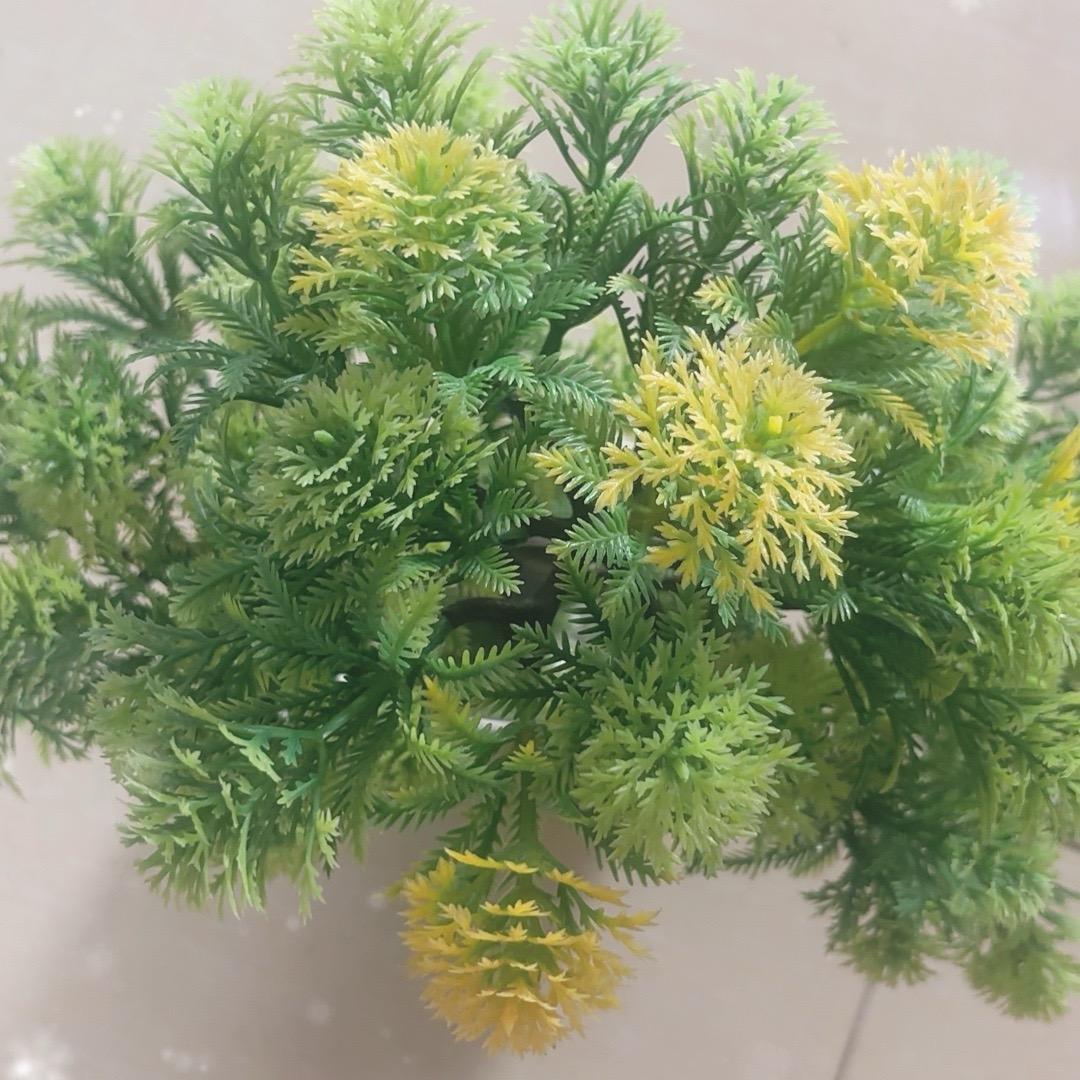 等你来陪伴