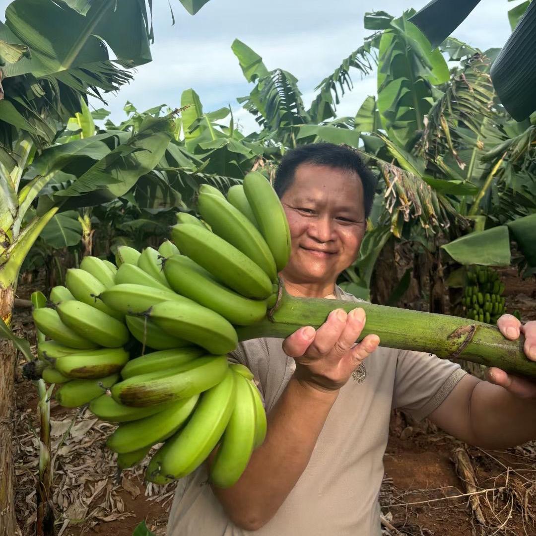 涠洲岛开民宿的大叔