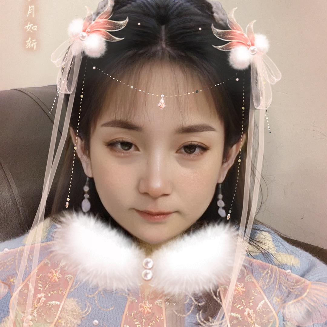 会飞的鱼