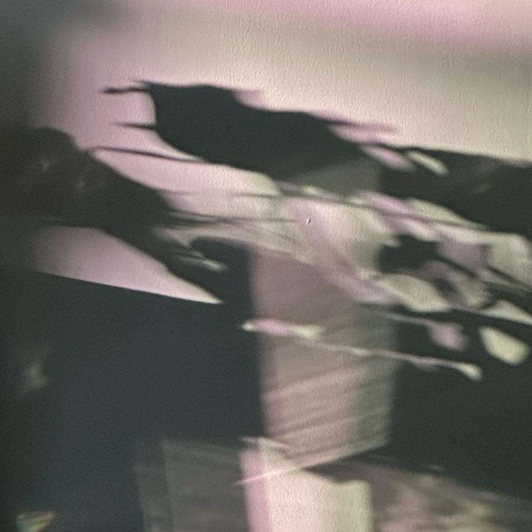 佩