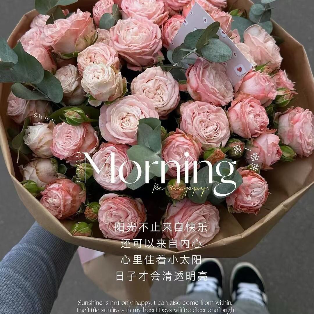 黑奥秘脱发白发理疗