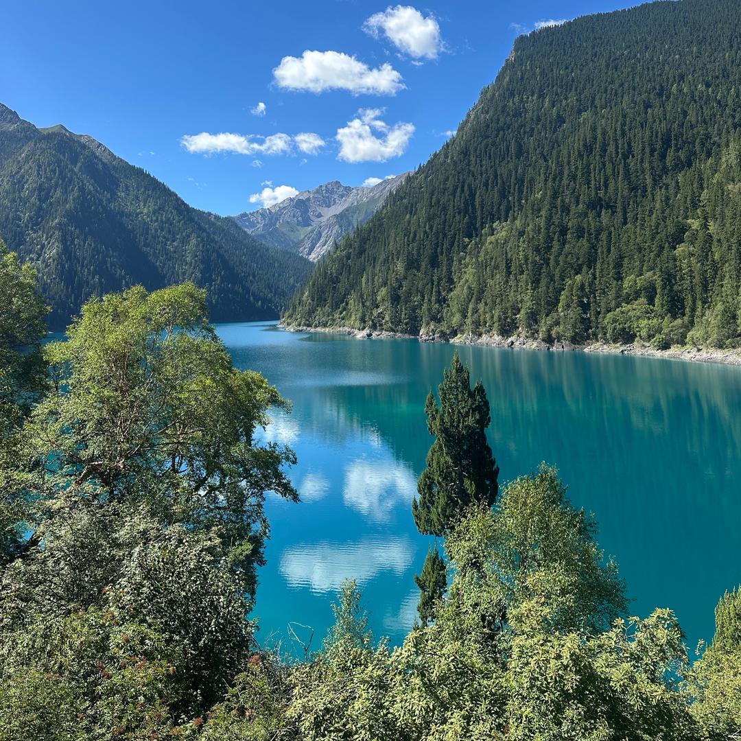 严选团购侦察兵🍇