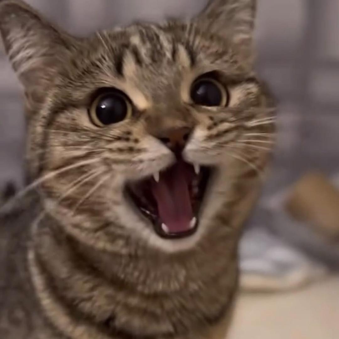 🌧️蘌萮🧸☀️