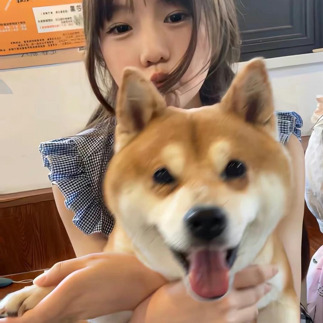 梨花诗