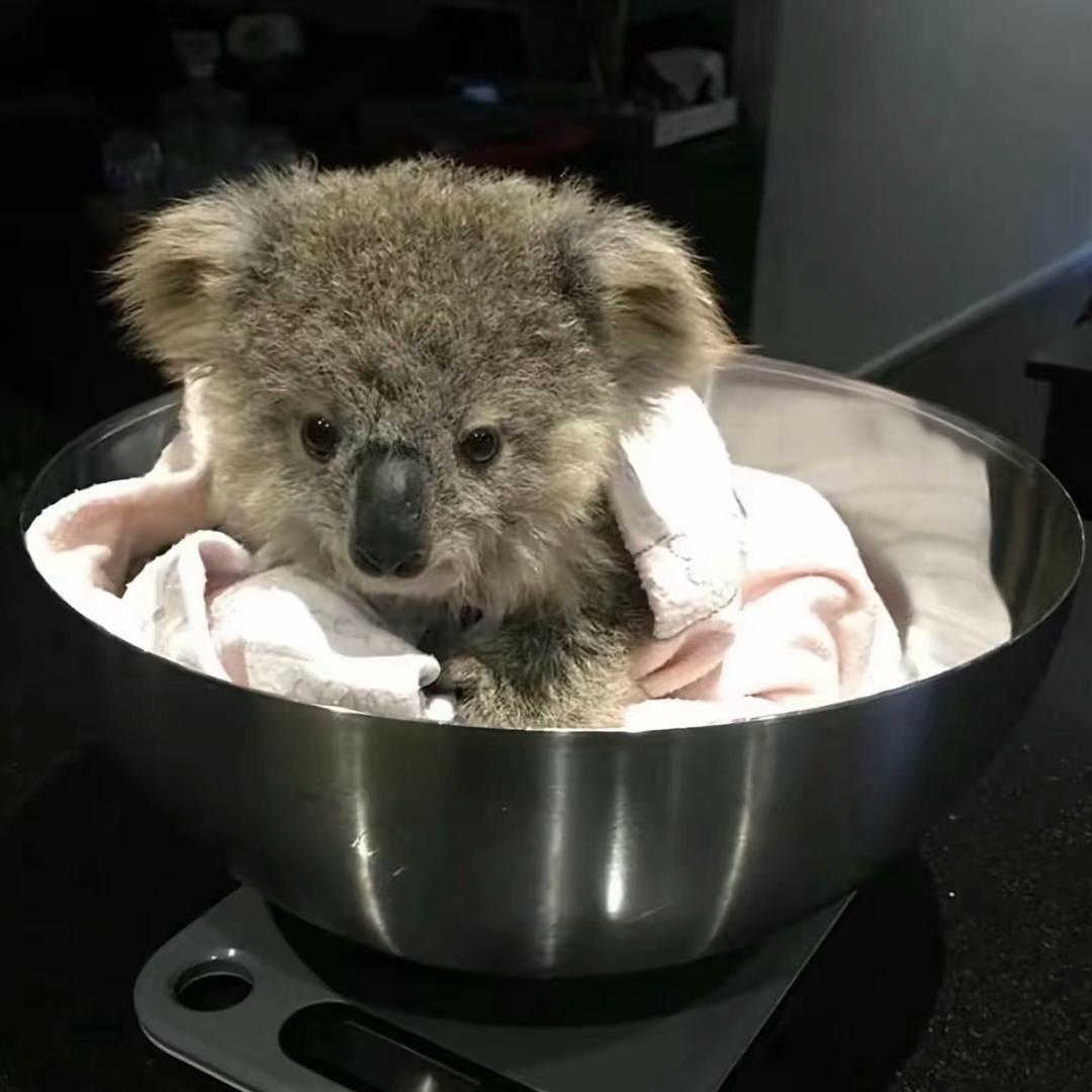 可是我有点焦虑