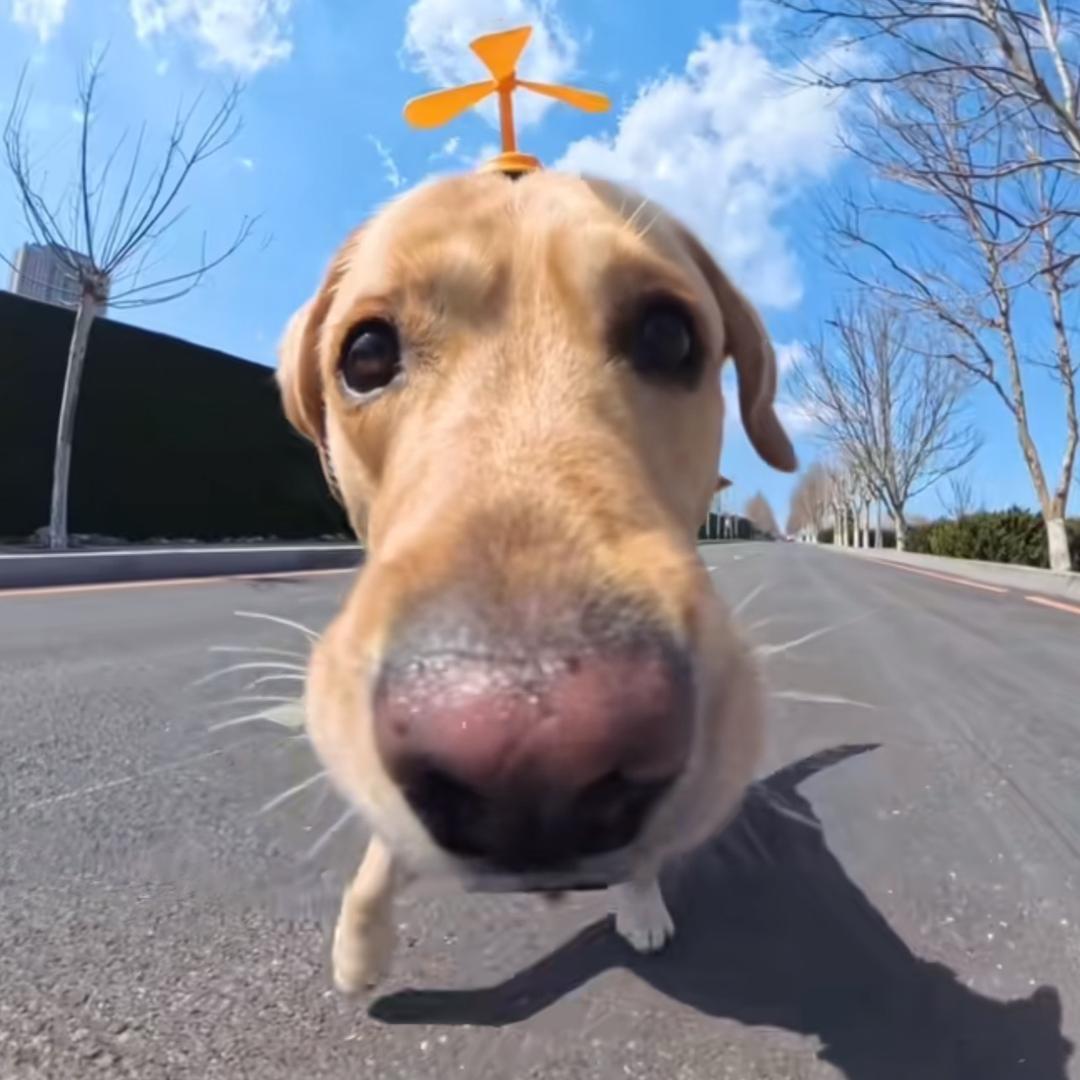 咱俩天下第一好