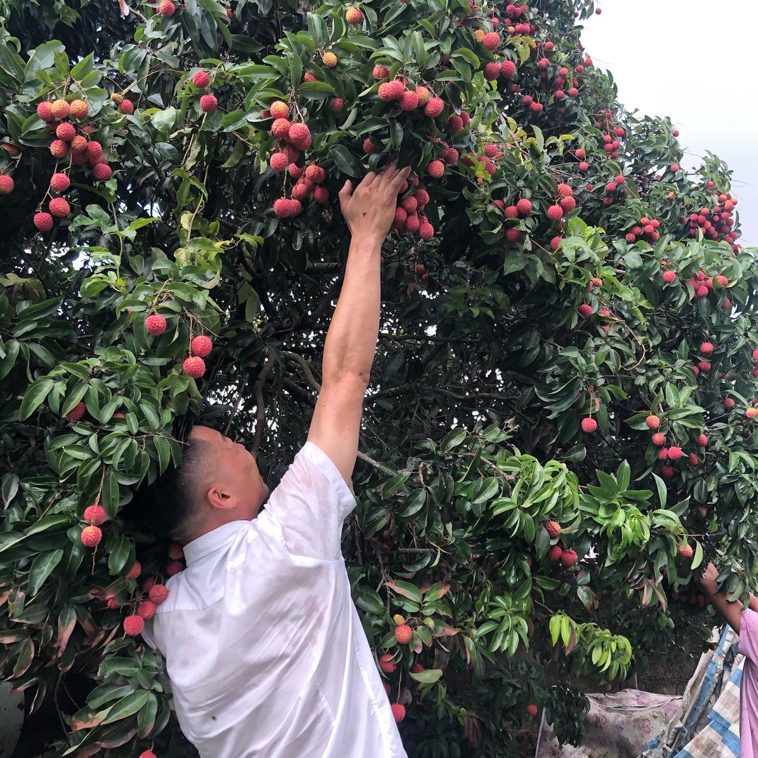 陆丰远诚车务