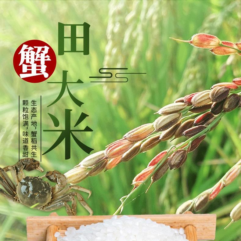 东北生态蟹田米