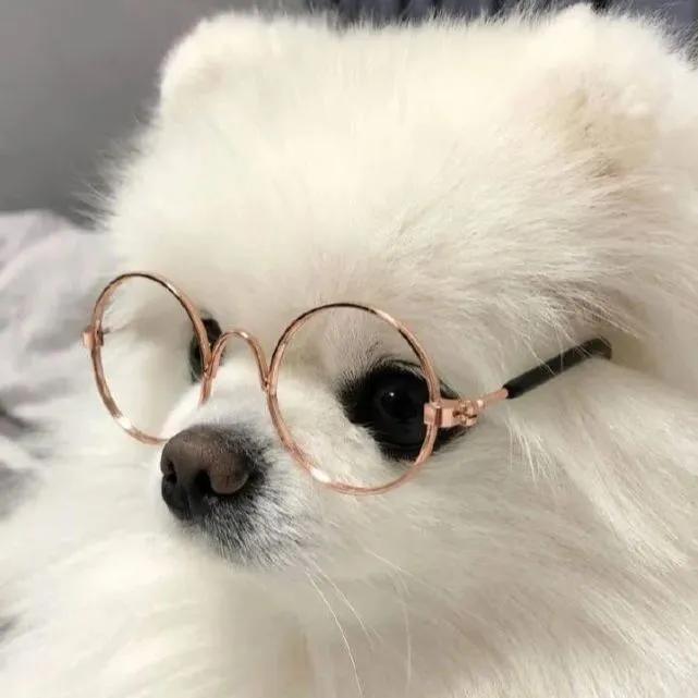 小小呆
