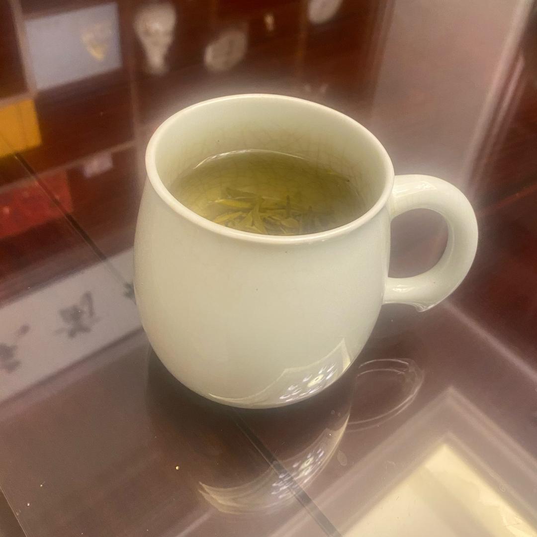 鱼爱草～👣