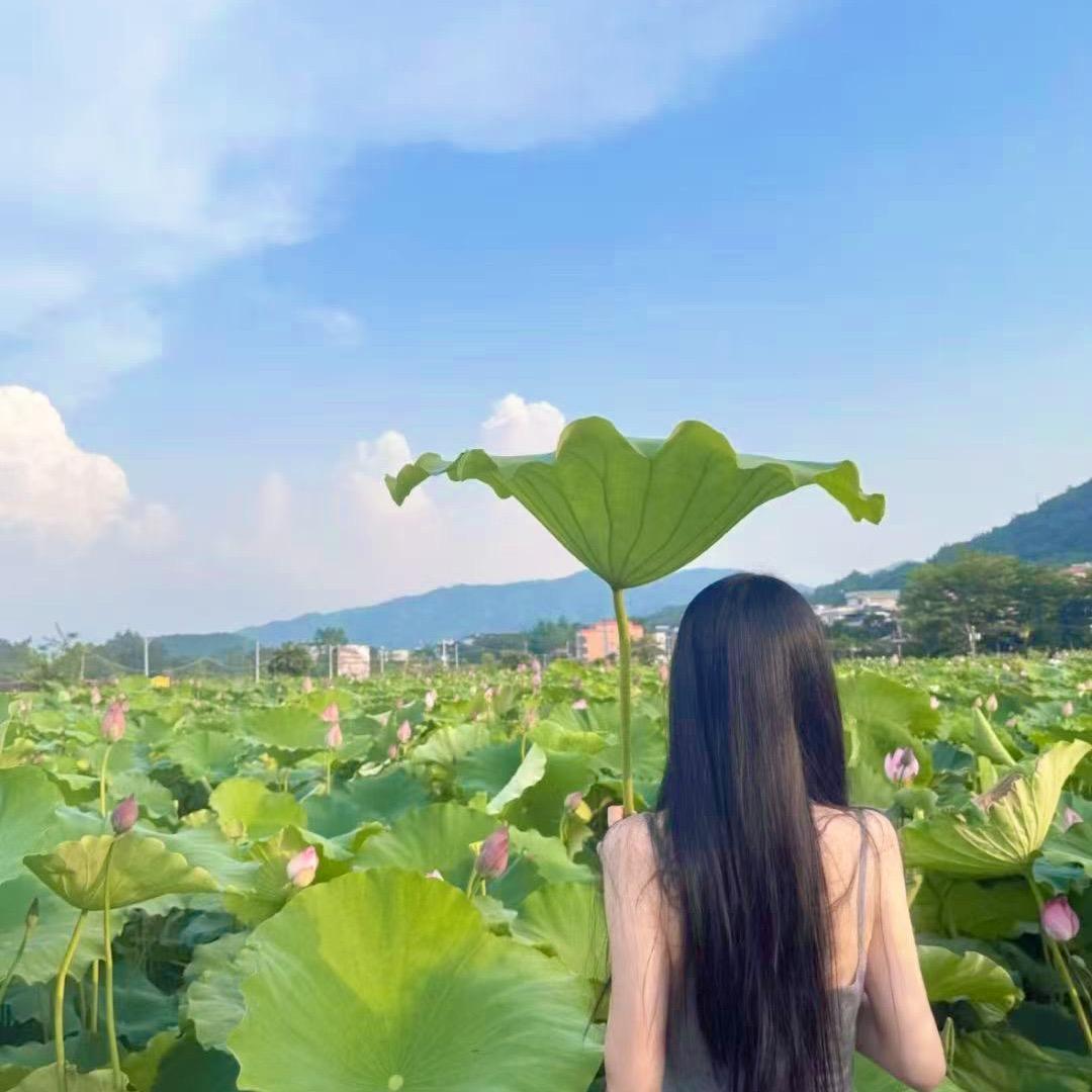 渝行老窖酒记