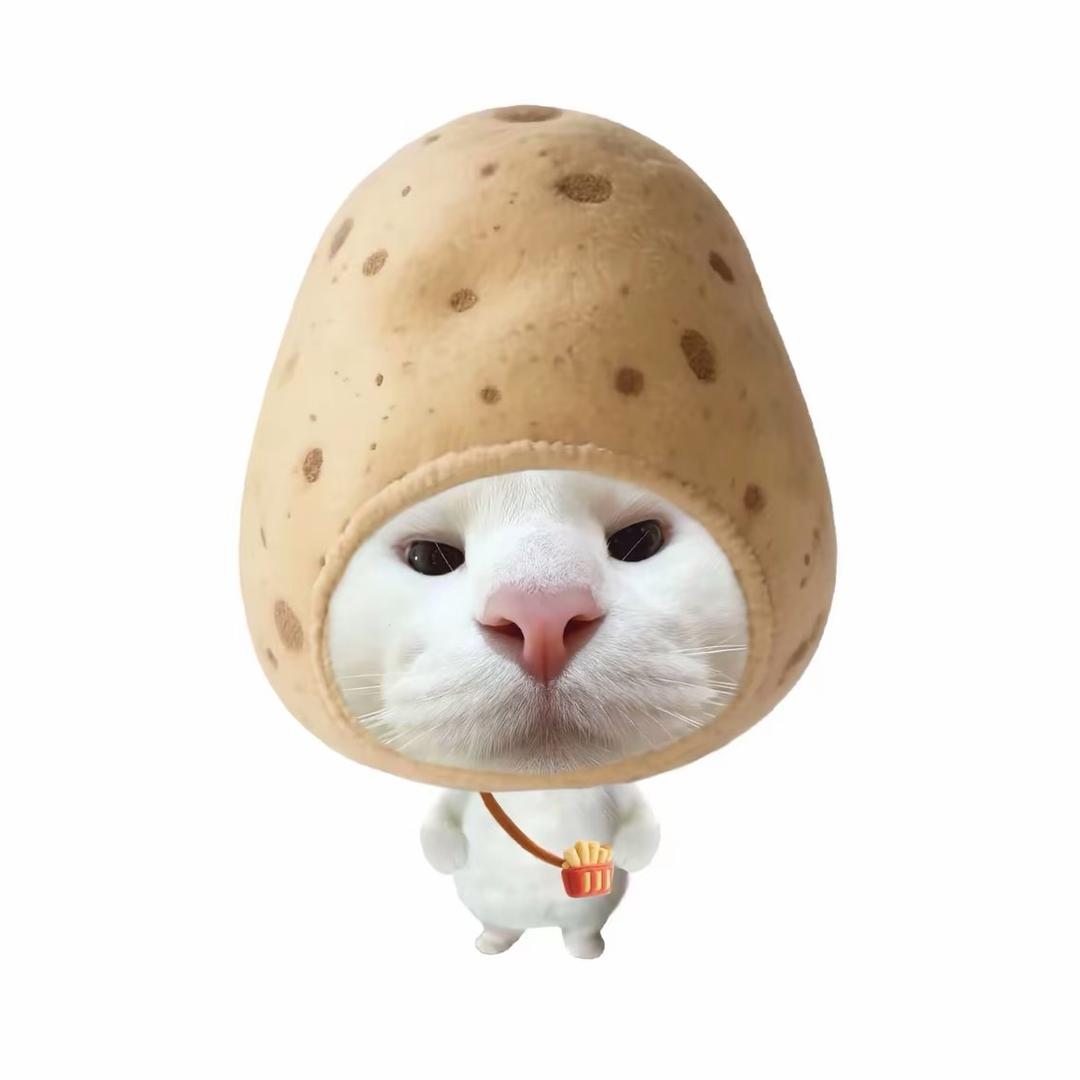 陈梓~