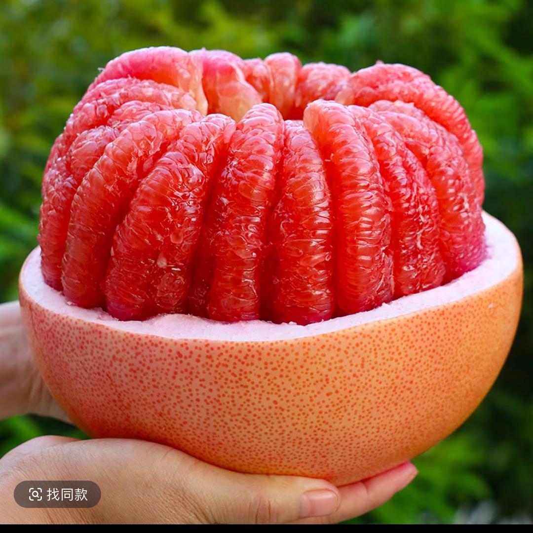 重生之卖柚子的小女孩