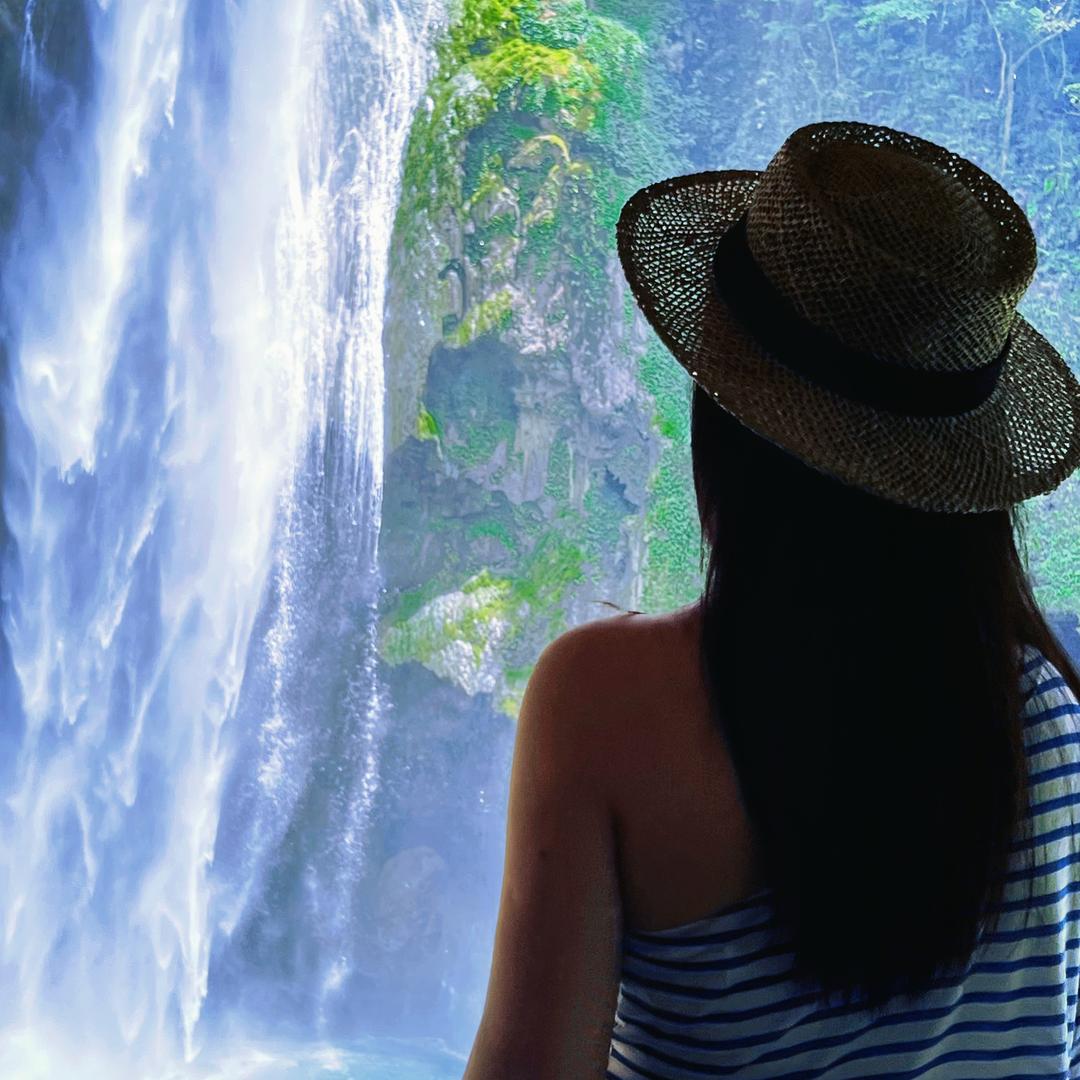 芥末🌈☀️🦋🌲