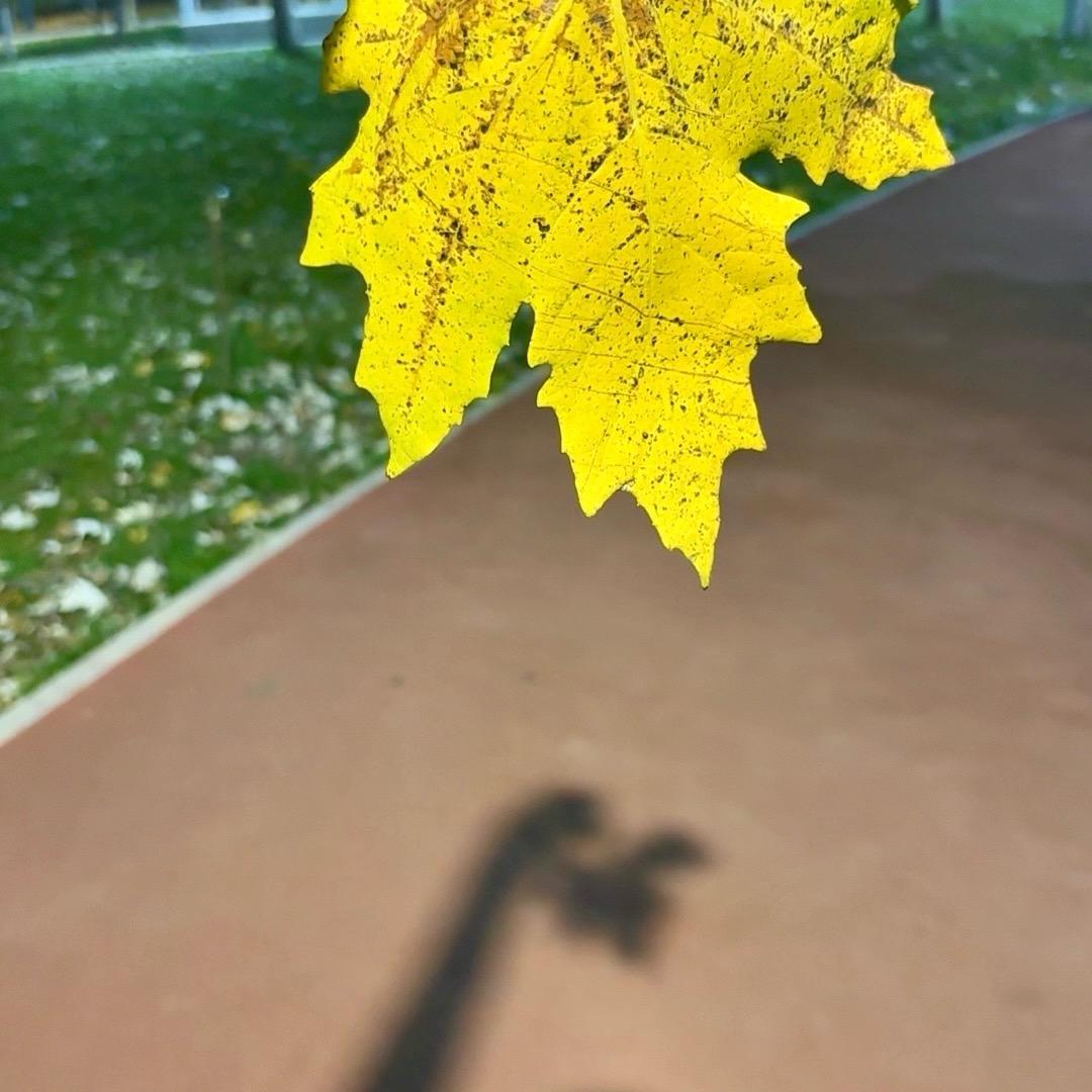 U点小脾气