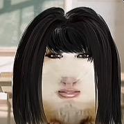 猪精这一块./