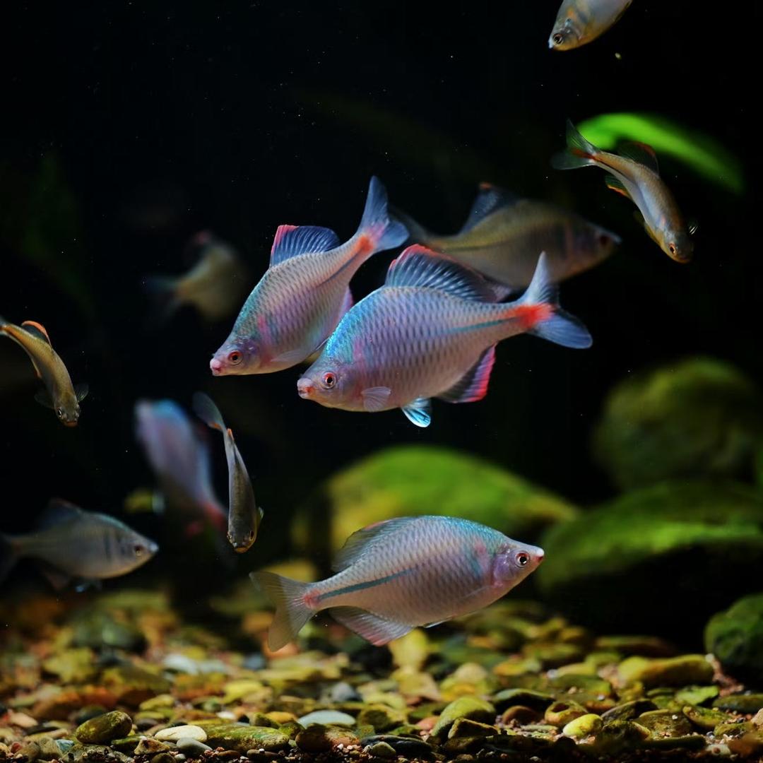 利事多水族馆