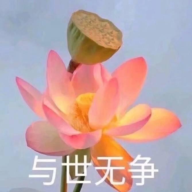 花开富贵1