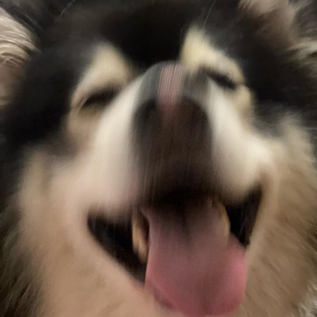 我的阿拉爱撕家.