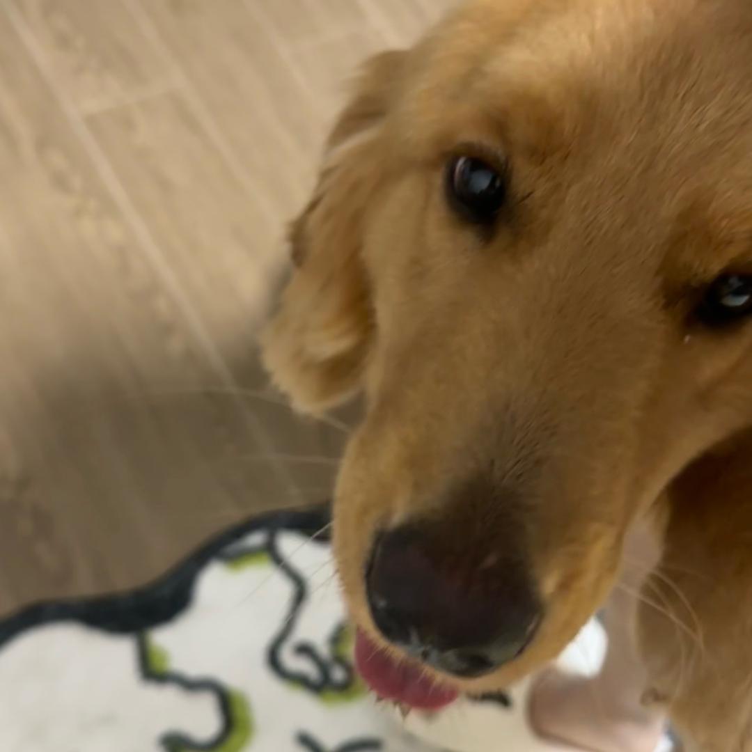 小小世一（三角洲行动）