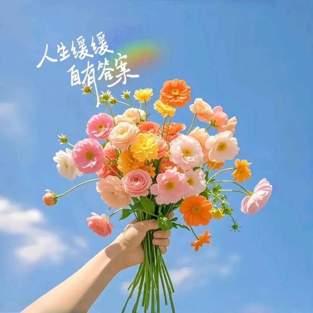 人生缓缓，自由答案