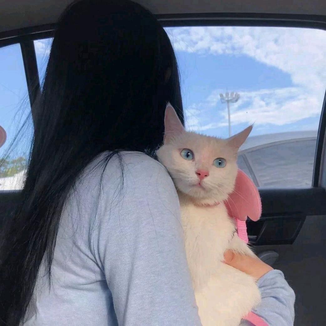 兜兜里有糖🍬