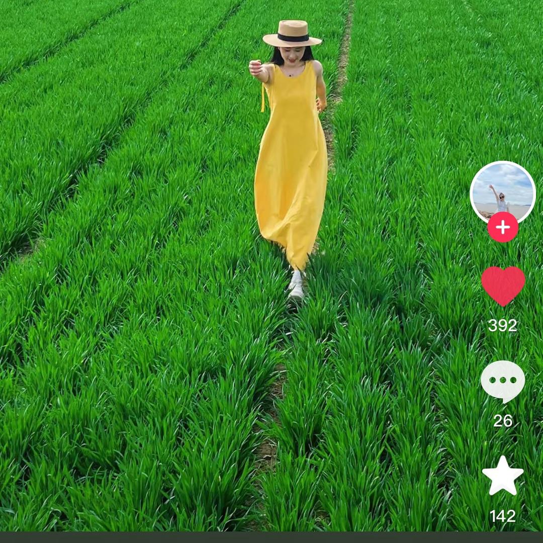 麦蓝瓶