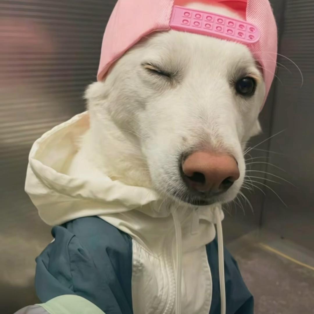 老舅
