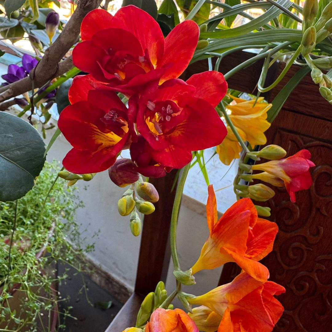 凉水湾休闲山庄