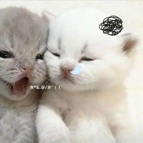 泠春