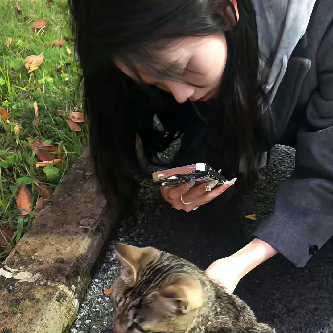 小狸