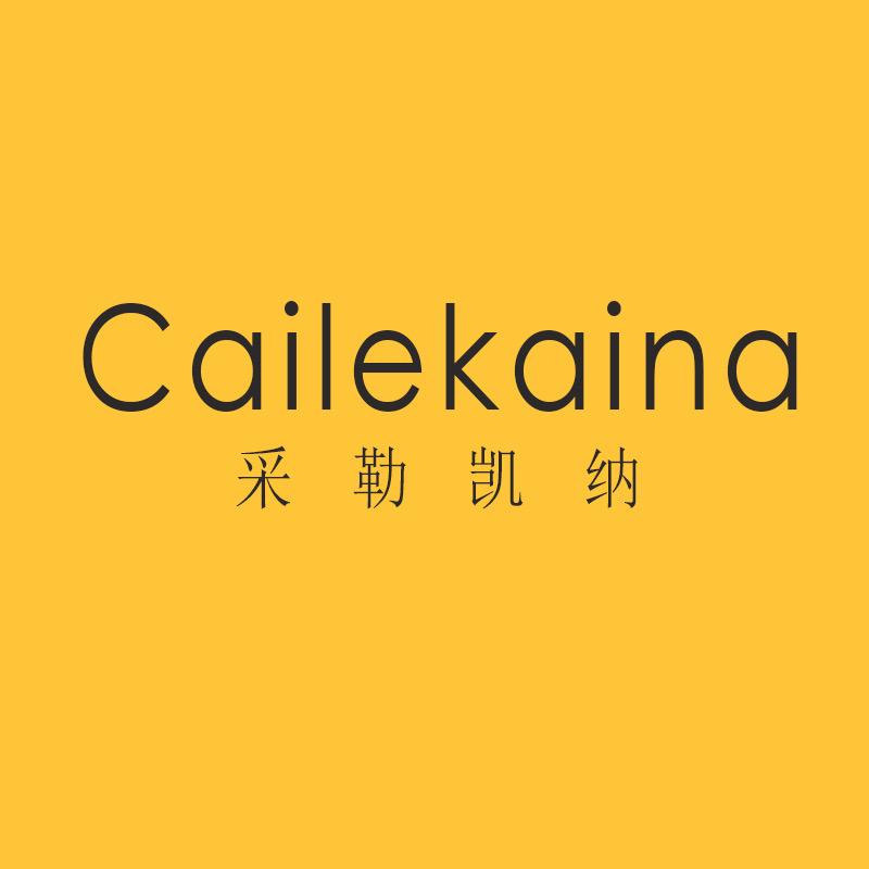 Cailekaina男子旗舰店