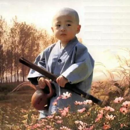 木子提拉米苏《快乐鸟小号》