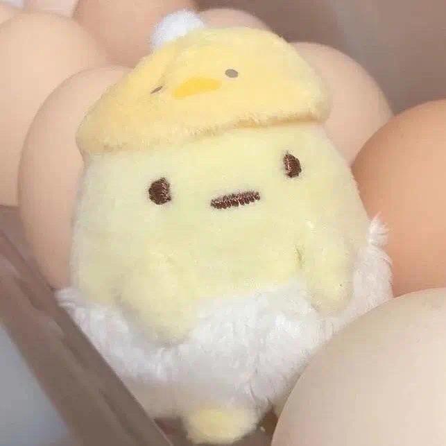 蒸蛋