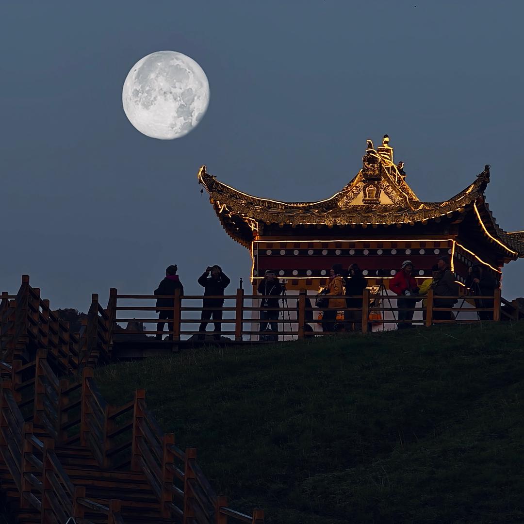 甘南📷领队 (达吉)