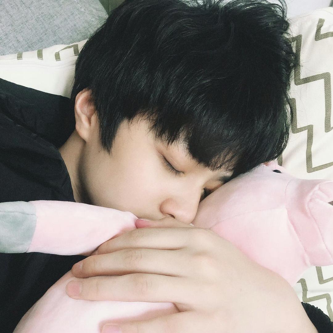 怎么猫也喜欢短脸狗