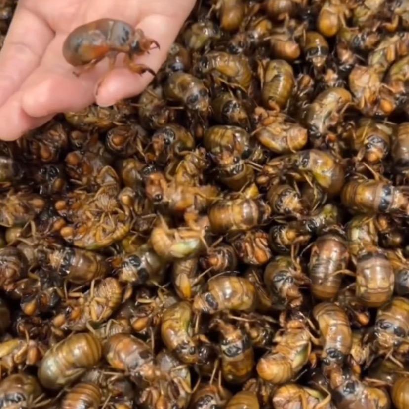 浮烟山野味小馆