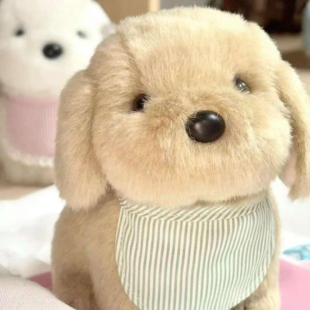 王锅盖儿.