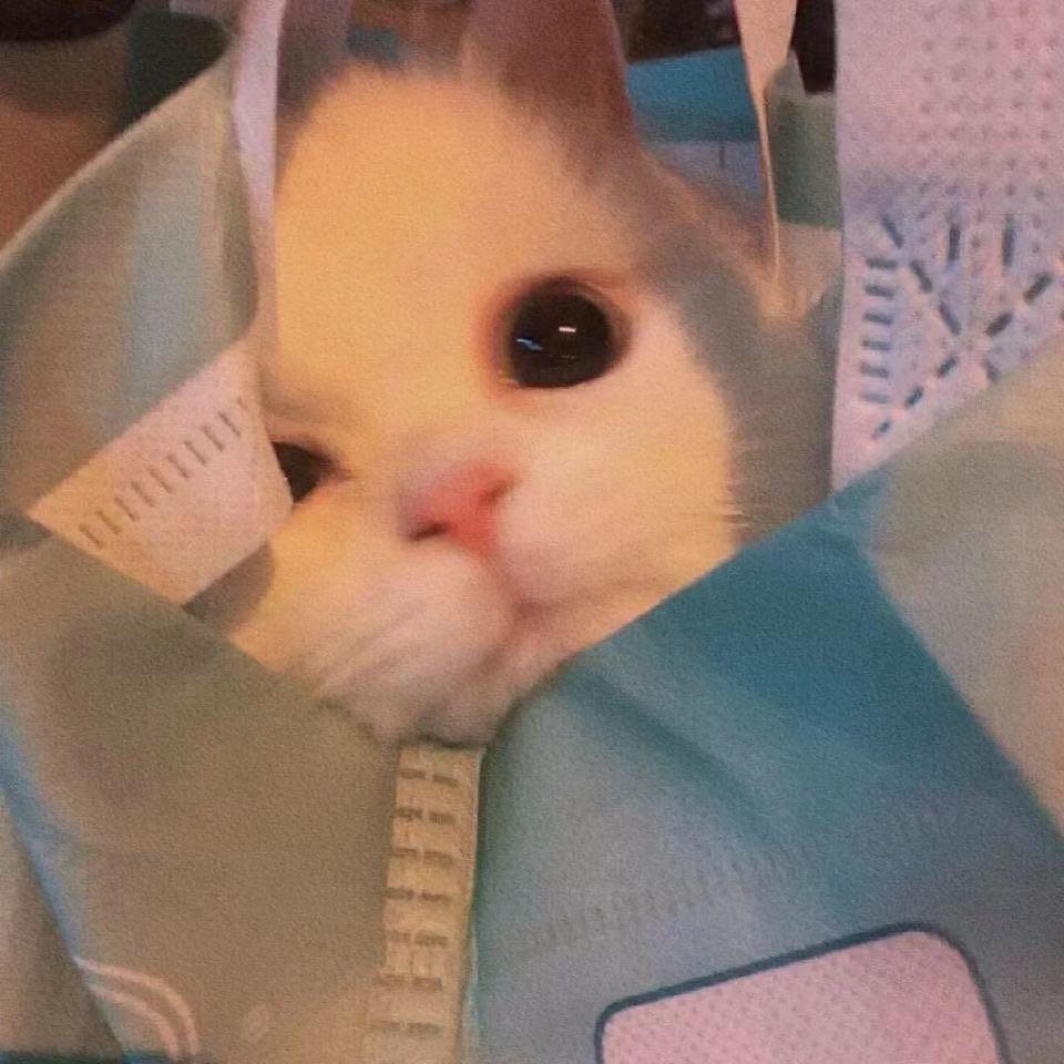 聆听与爱_Listen to Love