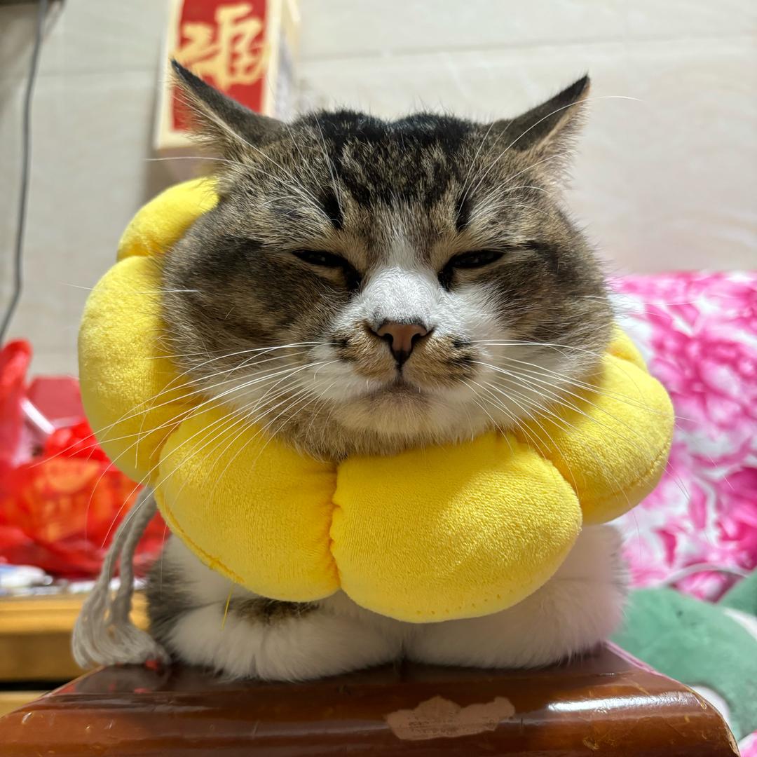 山海~