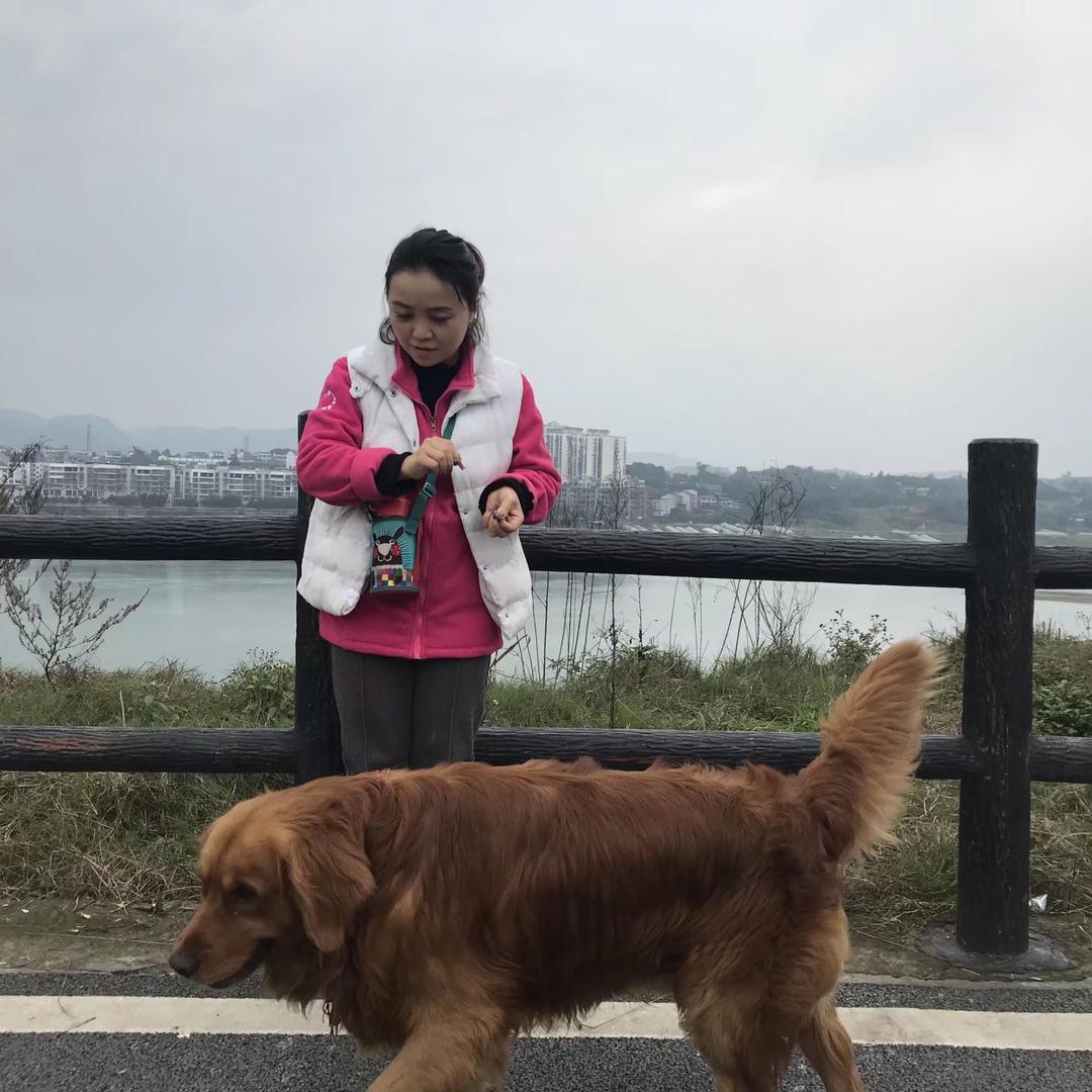 七绪