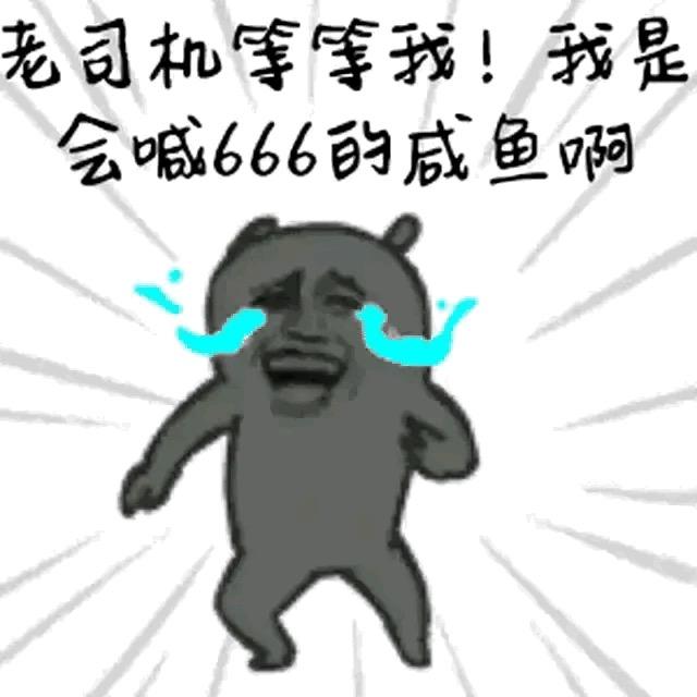 虾丢丢
