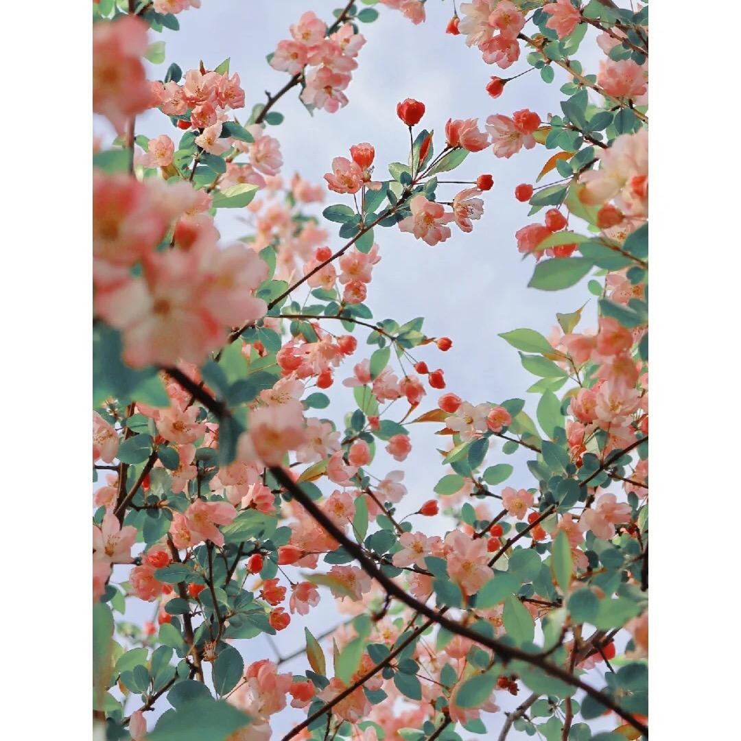 兆🧚‍♀️
