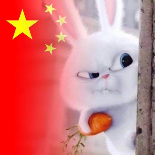🐰流氓兔