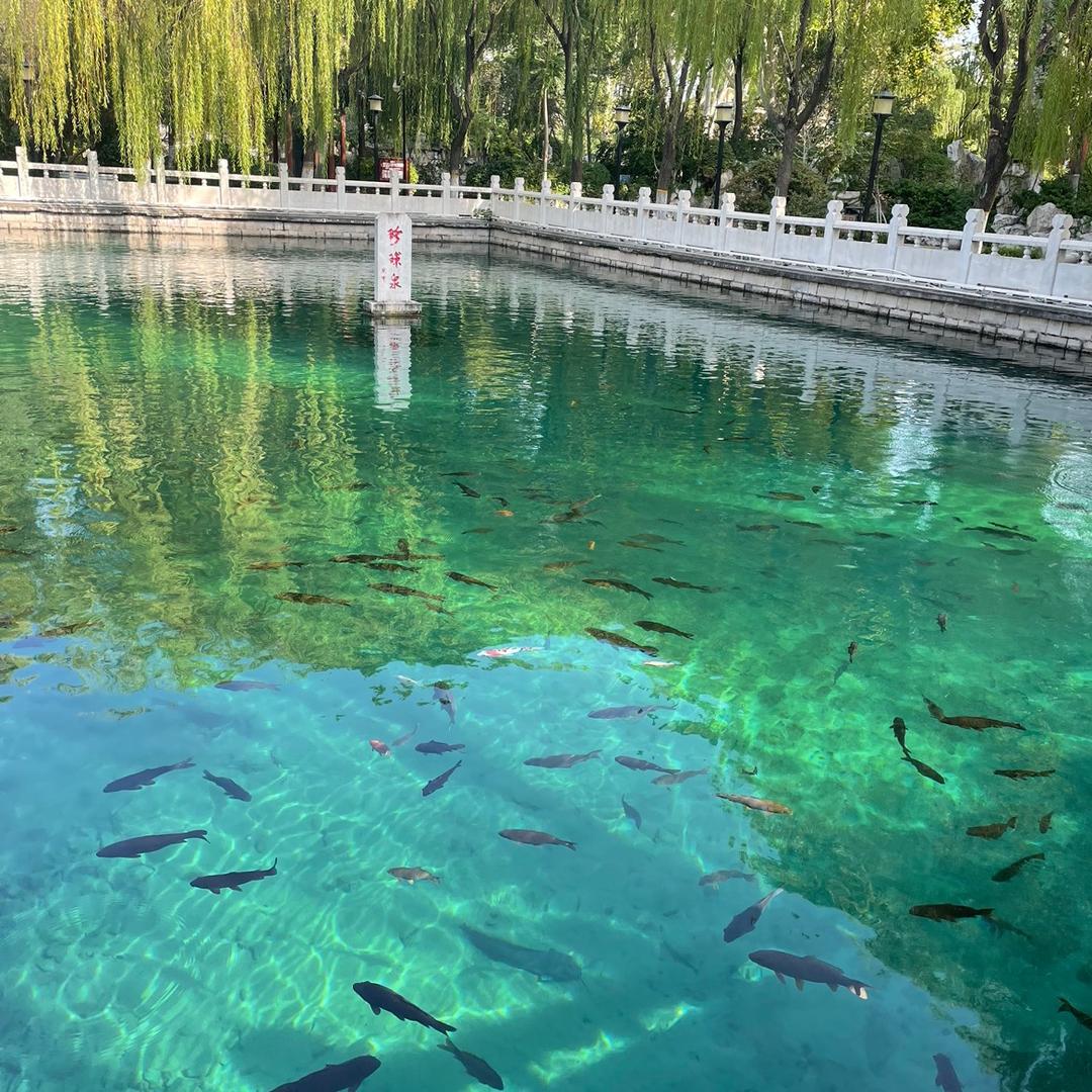 西域牛仔在捕鱼