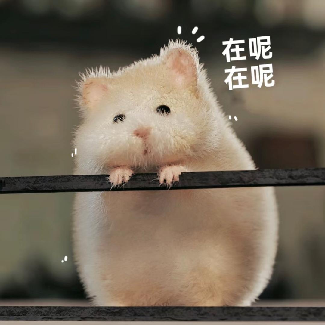 歌南